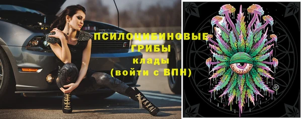 стафф Армянск